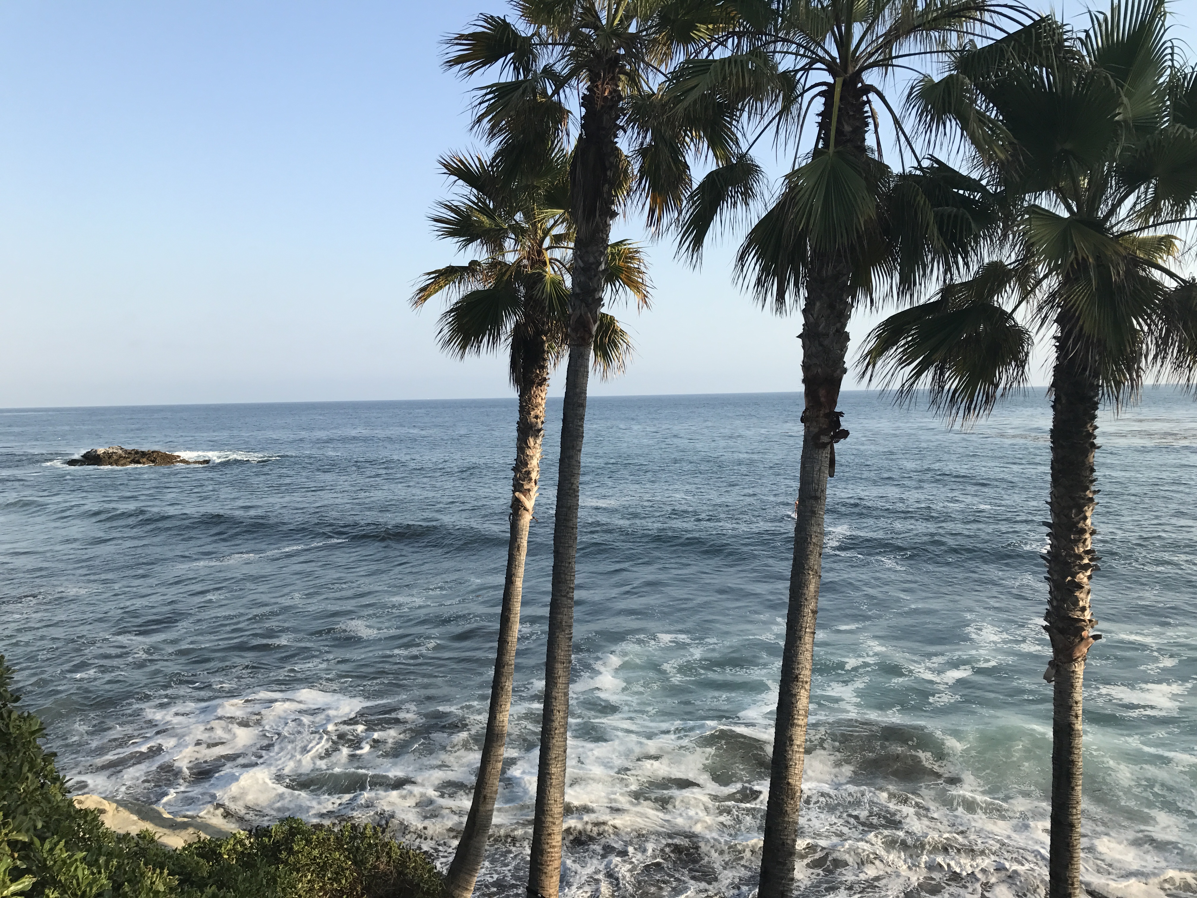 Company Bio Banner Picture